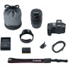 Фотоаппарат Canon EOS R Kit с 24-105mm f/4 + EF-EOS R адаптер Прокат  