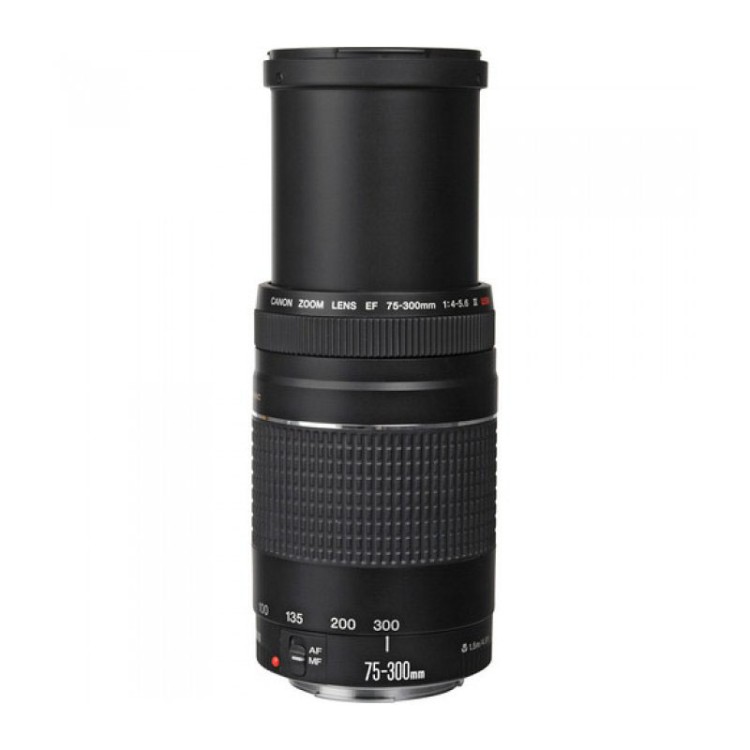 Объектив Canon EF 75-300 mm f/4-5.6 III USM бу  