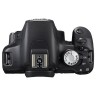 Canon EOS 500D Body_5.jpg
