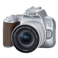 Зеркальный фотоаппарат Canon EOS 250D Kit 18-55mm IS STM серебристый