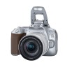 Зеркальный фотоаппарат Canon EOS 250D Kit 18-55mm IS STM серебристый  