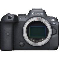 Беззеркальный фотоаппарат Canon EOS R6 Body с адаптером EF-EOS R